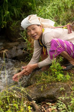 Gülümseyen Asyalı kırsal kadın doğal bir dereden tatlı su topluyor, sürdürülebilir yaşam ve huzurlu kırsal refahı simgeliyor.