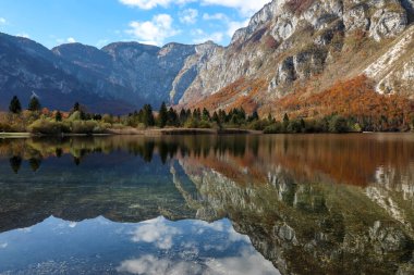 Bohinj Gölü, Slovenya sonbahar manzarası canlı sonbahar renkleri, dağları ve gökyüzünü yansıtan durgun sular ve berrak mavi gökyüzünün altındaki dramatik alp zirveleri.