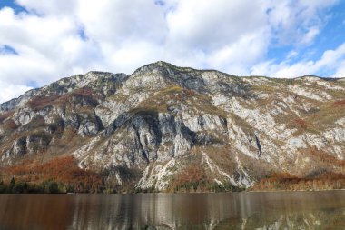 Slovenya 'daki Bohinj Gölü' nün göz kamaştırıcı sonbahar manzarası, canlı yapraklar, kristal berrak sakin su ve görkemli alp dağları. Huzurlu ve resimli bir manzara..