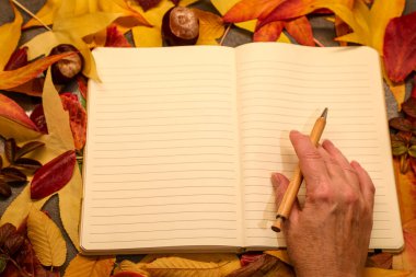 Renkli sonbahar yapraklarıyla çevrili, günlüğü, yaratıcılığı ve mevsimsel ilhamı sembolize eden açık bir defterin üzerinde kalem tutan kişi..