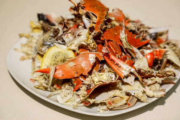Temiz beyaz bir tabakta toplanan deniz ürünleri artıkları, gübreleme, bilinçli gıda atığı uygulamaları ve eko-bilinçli yaşam için hazırlanıyor..