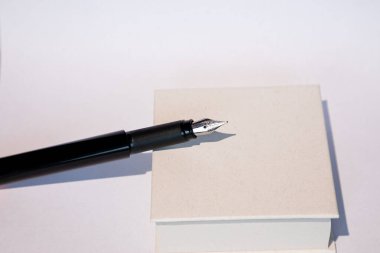 Beyaz kağıt yüzeyinde gümüş uçlu profesyonel dolma kalem. İmza, gazetecilik ya da yaratıcı yazarlık için kaliteli yazma ekipmanlarının şık minimalist kompozisyonu. Üst görünümü kopyalama alanı ile temizle.