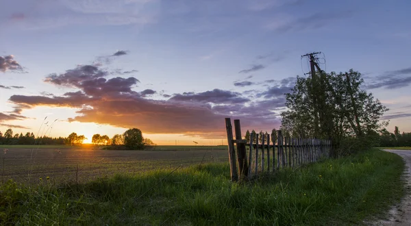 Puesta de sol en un campo — Foto de Stock