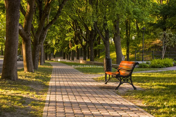 在城市公园中的长椅 — 图库照片
