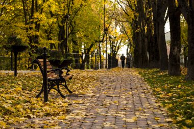 Parktaki sarı bankta