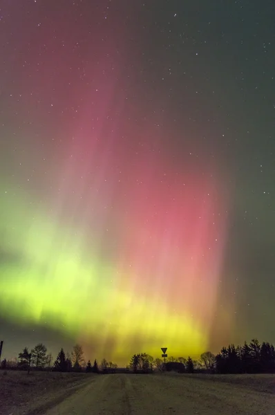 Luces del norte en Estonia Imagen De Stock
