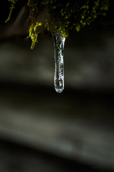 Agua congelada en invierno Imágenes De Stock Sin Royalties Gratis