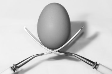 İki çatal bir yumurta holding