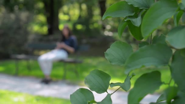 Chica con un teléfono celular en un banco del parque — Vídeos de Stock