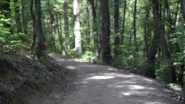 Fille en t-shirt rouge et short a couru dans les bois . — Video