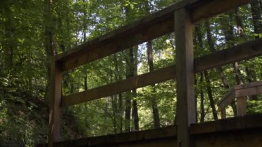 Kız bir kırmızı T-shirt ve şort ormanda çalışan.