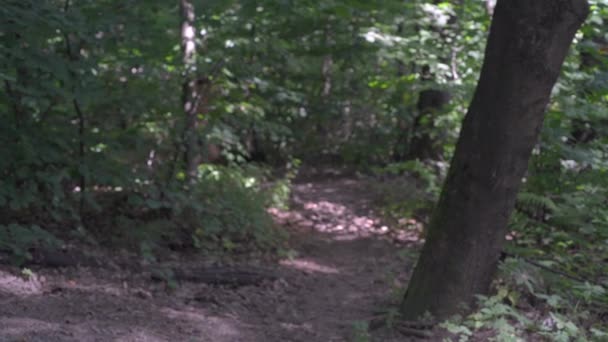 Fille en t-shirt rouge et short a couru dans les bois .