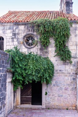 Santa Maria 'nın Punta Kilisesi, Budva' daki antik taş cephesinde, tarihi Akdeniz mimarisini ön plana çıkaran kemerli bir kapı ve yemyeşil bir sarmaşık yer alıyor..