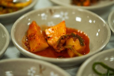Geleneksel Kore yemeği Turp Kimchi - Kkakdugi. Yüksek kalite fotoğraf