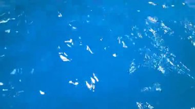 Yüzme havuzu su yüzeyinin desenleri ve dalgaları