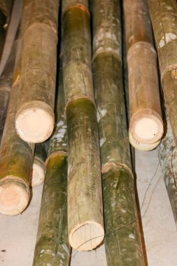 Sürdürülebilir inşaat malzemesi kavramları için toprak tonlarını ve organik dokuları gösteren doğal bambu kutupları birikmiş..