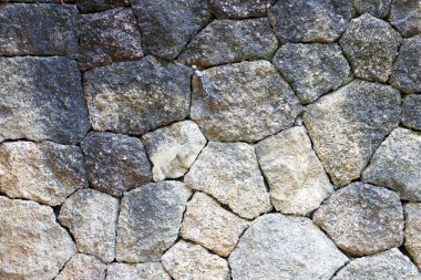 Kaba kumlu dokusu ve gri harç eklemleriyle kaplanmış kırsal bir taşın ayrıntılı görüntüsü