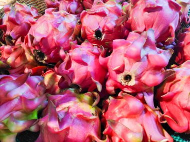 Geleneksel bir pazarda toptan ejderha meyvesi arzı yüksek kaliteli deri ve organik dokuya sahip.