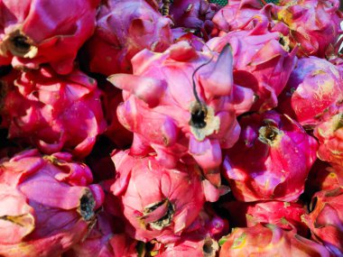 Geleneksel Asya meyve pazarında canlı pembe derili taze kırmızı ejderha meyvesi yığını