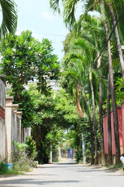 Kuta Bali 'de tropik yeşillik ve yumuşak gölgelerle otantik Bali sokak sahnesi;