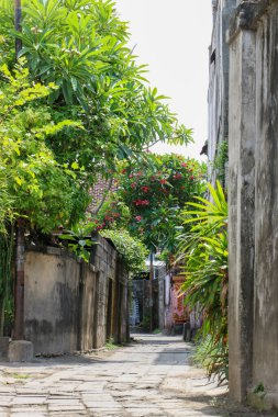 Kuta Bali 'de tropik yeşillik ve yumuşak gölgelerle otantik Bali sokak sahnesi;