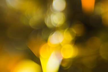 Güzel doğa yeşil ve sarı bokeh arka plan