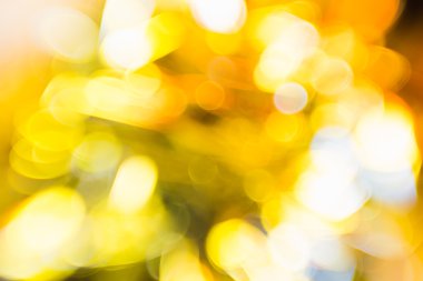 Güzel doğa yeşil ve sarı bokeh arka plan