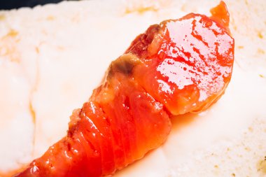 kırmızı balık ekmek closeup parçası