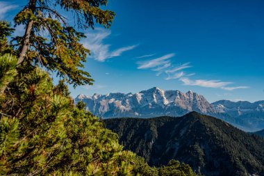 Mountain Landscape In Austria With View Of The Wetterstein Range And Zugspitze Massif: Scenic Alpine Panorama With Roots In Foreground And Clear Blue Sky. High quality photo