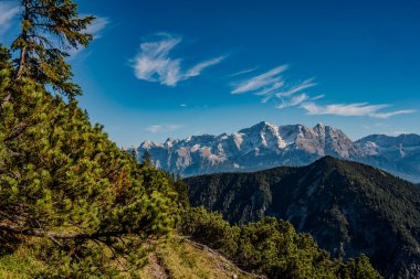 Mountain Landscape In Austria With View Of The Wetterstein Range And Zugspitze Massif: Scenic Alpine Panorama With Roots In Foreground And Clear Blue Sky. High quality photo