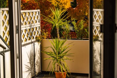 Açık Kapıyla Çerçevelenmiş Konforlu Balkon Manzarası: Altın ağaçlarla dolu sonbahar manzarası ve sıcak güneş ışığı huzurlu bir mevsimsel atmosfer yaratıyor. Yüksek kalite fotoğraf