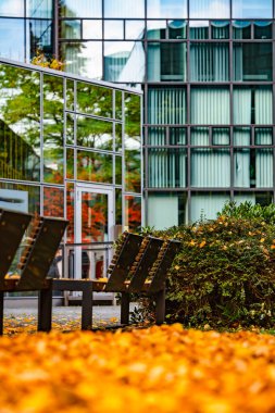 Sonbahar Ağacı Yansımalı Modern Cam Bina: Çağdaş Mimari ve Canlı Sarı Yapraklar Çarpıcı Bir Karşıtlık Oluşturuyor. Yüksek kalite fotoğraf