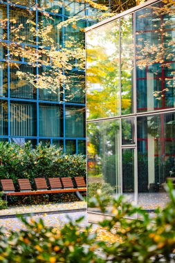 Sonbahar Ağacı Yansımalı Modern Cam Bina: Çağdaş Mimari ve Canlı Sarı Yapraklar Çarpıcı Bir Karşıtlık Oluşturuyor. Yüksek kalite fotoğraf