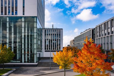 Sonbahar Bahçesi Yolu ile Modern Ofis Binası: Renkli ağaçlar ve Şehir Merkezindeki Yumuşak Akşam Işıkları ile çevrili Çağdaş Cam Mimari. Yüksek kalite fotoğraf