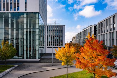 Modern Binalar ve Sonbahar Ağaçlarıyla Münih 'teki Hackerbruecke Köprüsü: Canlı Renkli Parlak Mavi Gökyüzü Altındaki Şehir. Yüksek kalite fotoğraf