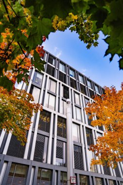Sonbahar Bahçesi Yolu ile Modern Ofis Binası: Renkli ağaçlar ve Şehir Merkezindeki Yumuşak Akşam Işıkları ile çevrili Çağdaş Cam Mimari. Yüksek kalite fotoğraf