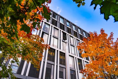 Sonbahar Bahçesi Yolu ile Modern Ofis Binası: Renkli ağaçlar ve Şehir Merkezindeki Yumuşak Akşam Işıkları ile çevrili Çağdaş Cam Mimari. Yüksek kalite fotoğraf