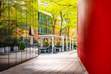 Sonbahar Ağacı Yansımalı Modern Cam Bina: Çağdaş Mimari ve Canlı Sarı Yapraklar Çarpıcı Bir Karşıtlık Oluşturuyor. Yüksek kalite fotoğraf