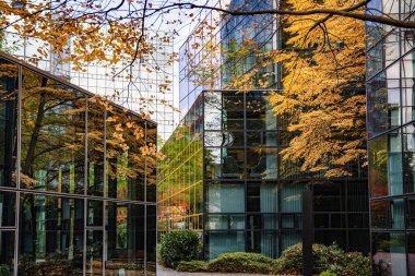 Sonbahar Ağacı Yansımalı Modern Cam Bina: Çağdaş Mimari ve Canlı Sarı Yapraklar Çarpıcı Bir Karşıtlık Oluşturuyor. Yüksek kalite fotoğraf