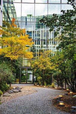 Sonbahar Bahçesi Yolu ile Modern Ofis Binası: Renkli ağaçlar ve Şehir Merkezindeki Yumuşak Akşam Işıkları ile çevrili Çağdaş Cam Mimari. Yüksek kalite fotoğraf