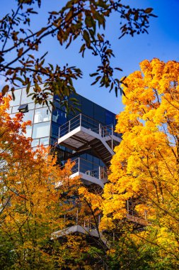 Sonbahar Bahçesi Yolu ile Modern Ofis Binası: Renkli ağaçlar ve Şehir Merkezindeki Yumuşak Akşam Işıkları ile çevrili Çağdaş Cam Mimari. Yüksek kalite fotoğraf