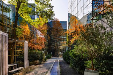 Sonbahar Ağacı Yansımalı Modern Cam Bina: Çağdaş Mimari ve Canlı Sarı Yapraklar Çarpıcı Bir Karşıtlık Oluşturuyor. Yüksek kalite fotoğraf