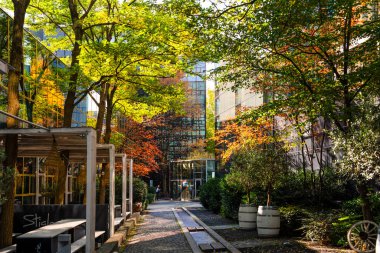 Sonbahar Ağacı Yansımalı Modern Cam Bina: Çağdaş Mimari ve Canlı Sarı Yapraklar Çarpıcı Bir Karşıtlık Oluşturuyor. Yüksek kalite fotoğraf