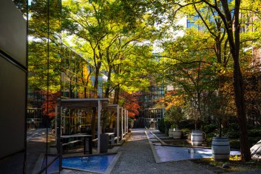 Sonbahar Ağacı Yansımalı Modern Cam Bina: Çağdaş Mimari ve Canlı Sarı Yapraklar Çarpıcı Bir Karşıtlık Oluşturuyor. Yüksek kalite fotoğraf