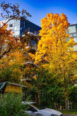 Sonbahar Bahçesi Yolu ile Modern Ofis Binası: Renkli ağaçlar ve Şehir Merkezindeki Yumuşak Akşam Işıkları ile çevrili Çağdaş Cam Mimari. Yüksek kalite fotoğraf