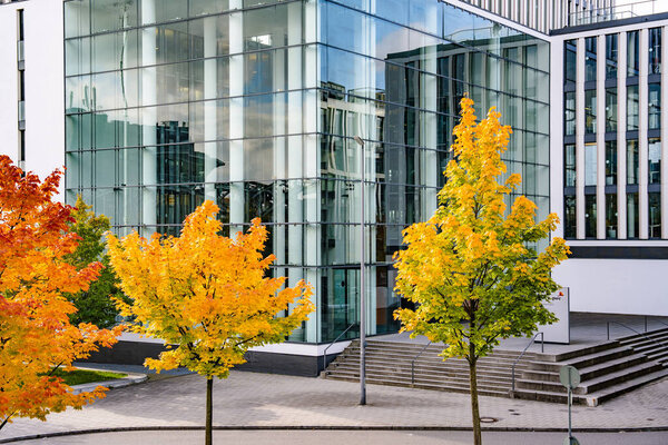 Modern Office Building With Autumn Garden Pathway: Contemporary Glass Architecture Surrounded By Colorful Trees And Soft Evening Lights In Urban Setting. High quality photo