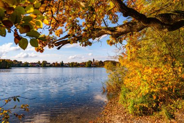 Wesslinger 'da Sonbahar Yansıması Bavyera' da: Renkli ağaçlar, Mavi Gökyüzü ve Almanya 'nın Münih yakınlarındaki Sakin Göl Suyu ile Sakin Manzara. Yüksek kalite fotoğraf