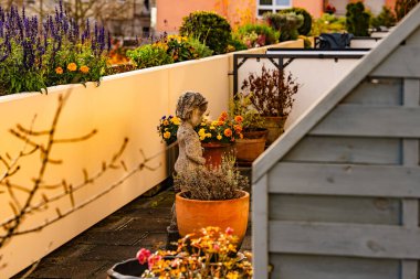 Teras Bahçesi, çiçek saksıları ve taş heykeli, güneşli açık hava düzenlemeleri, renkli çiçekler ve ılık sonbahar atmosferinde dekoratif heykeller. Yüksek kalite fotoğraf