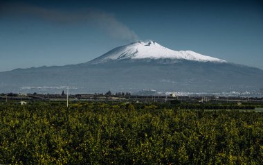Akdeniz 'in üzerinde Etna Volkanı İçmek: Aktif Volkanik Tepe, Palmiye Yaprakları ve Açık Sahil Gökyüzü ile Sakin Mavi Su Üzerine Duman Ediyor. Yüksek kalite fotoğraf