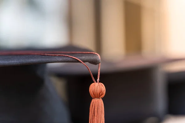 Rearview University Graduates Line Degree Award University Graduation Ceremony University — Stock Photo, Image